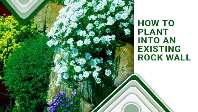 How To Plant Into An Existing Rock Wall