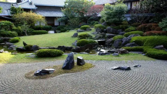 Rock Zen Gardens