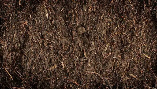 Sources Of Inorganic Matter In The Soil
