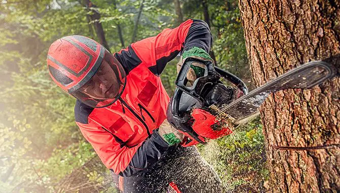5 Tips To Port Chainsaw