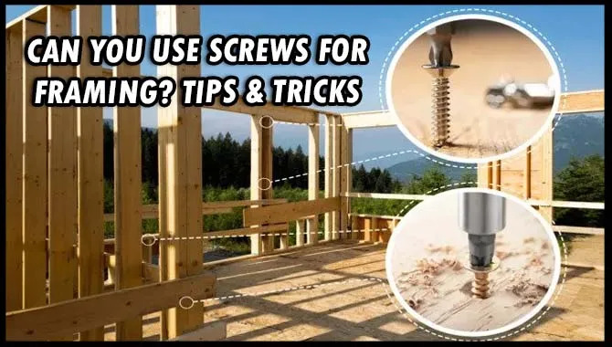 Can You Use Screws For Framing