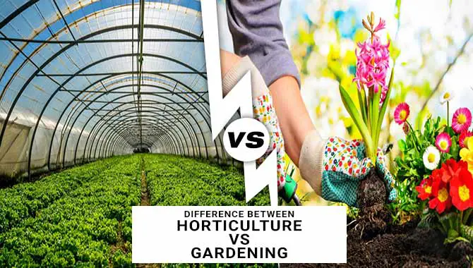 Difference Between Horticulture Vs Gardening