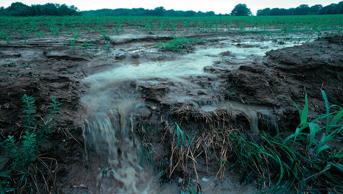 Water The Topsoil