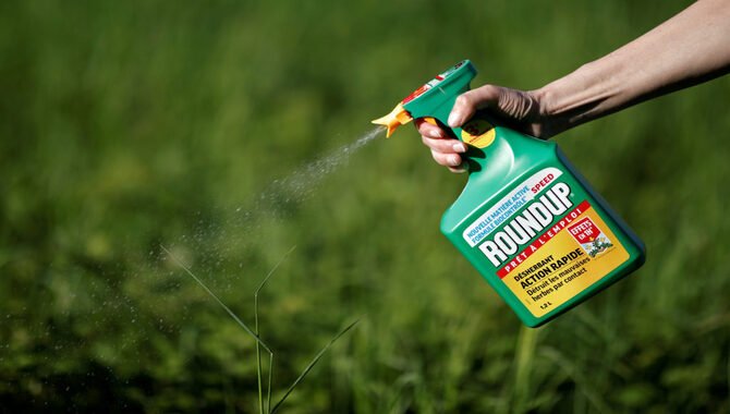 What Is Roundup