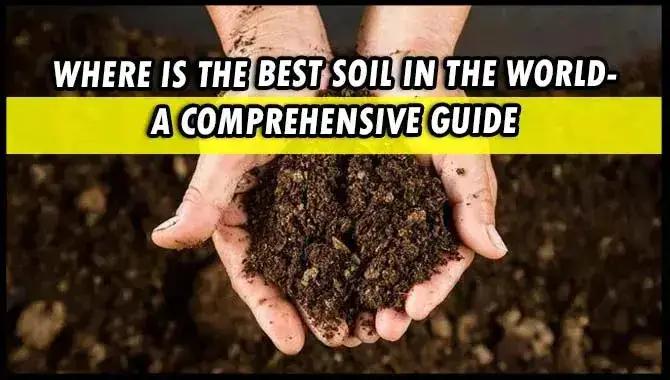 Where Is The Best Soil In The World
