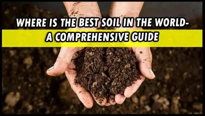 Where Is The Best Soil In The World