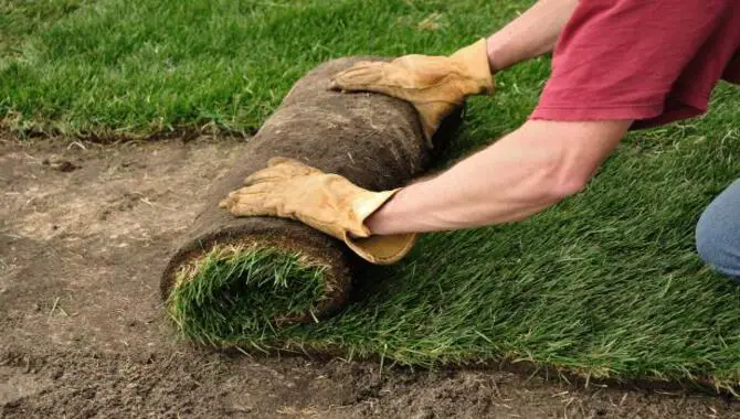 6 Easy Ways To Remove Old Grass And To Lay New Turf