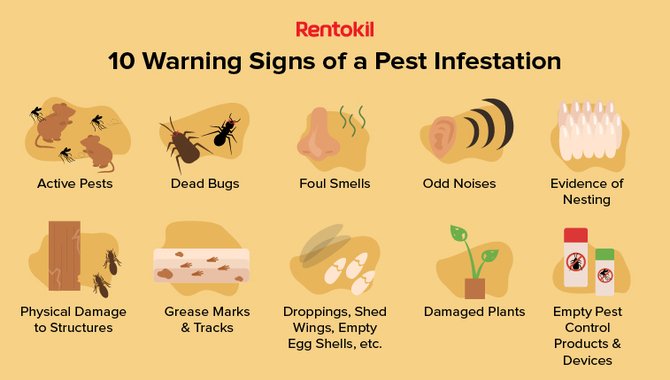 Check For Signs Of Insect Or Disease Damage