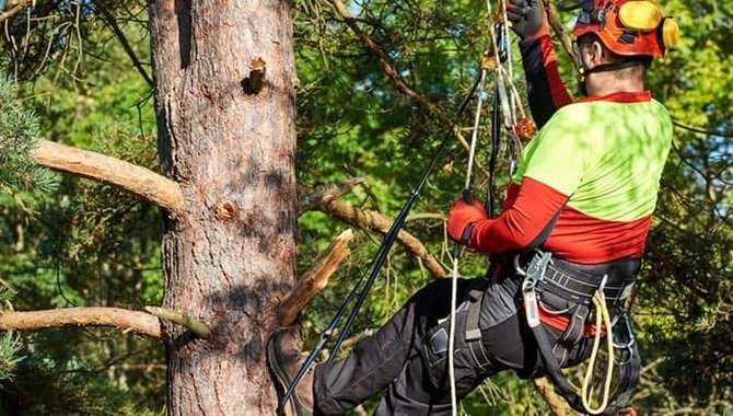 How To Make A Tree Climbing Lanyard 6 Expert Diy Guide