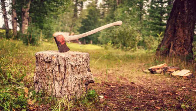 Cut The Tree Trunk In Half With An Ax.
