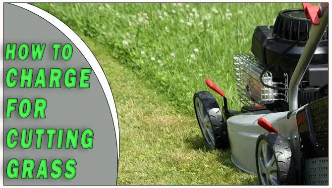 How To Charge For Cutting Grass