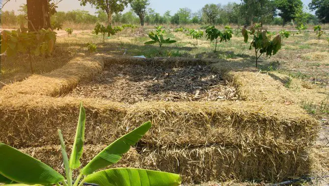Mix Manure With Straw
