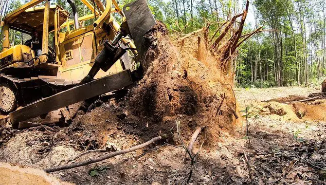 Use A Rototiller Or Bulldozer To Break Up The Stump And Dislodge The Earth.