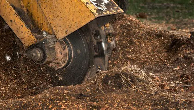 What Is A Stump Grinder