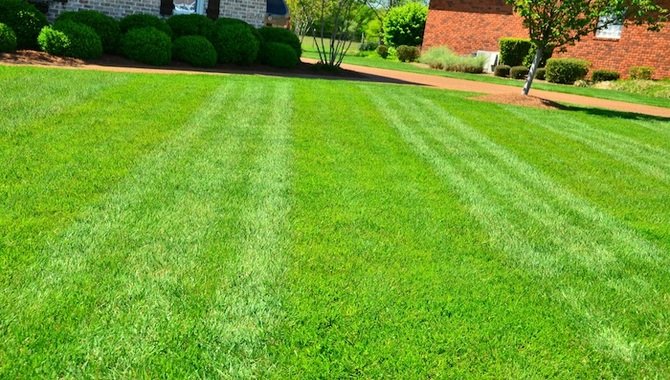When Should I Charge For Cutting Grass