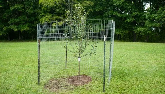 Which Materials Work Best For Fencing Around Trees