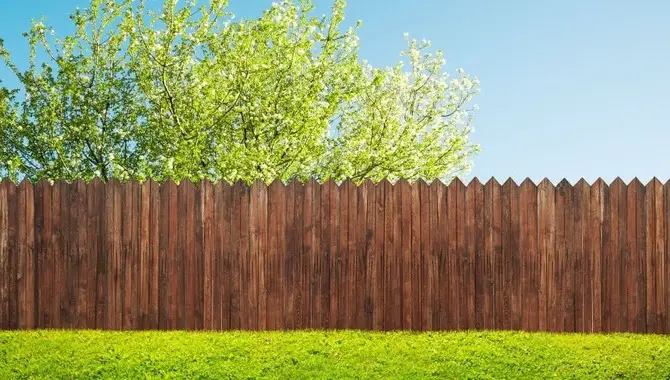 Aspects of Fencing & Tree
