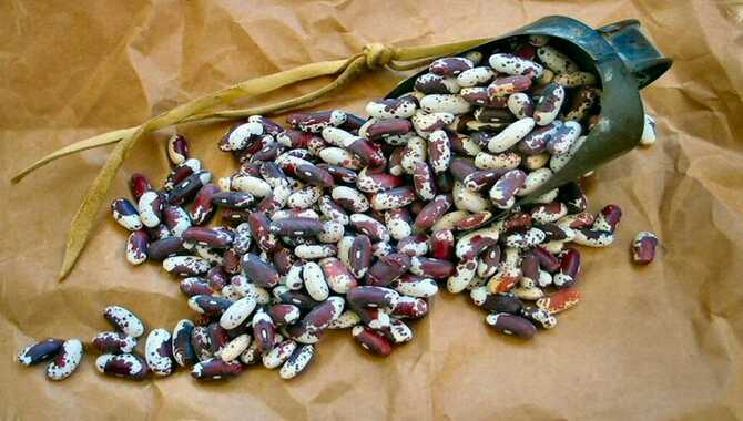Choosing The Wrong Type Of Seed.