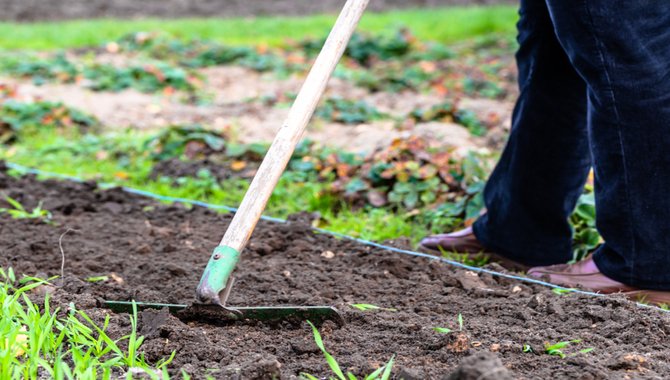 Clean Up The Garden