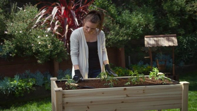 Consider Raised Beds