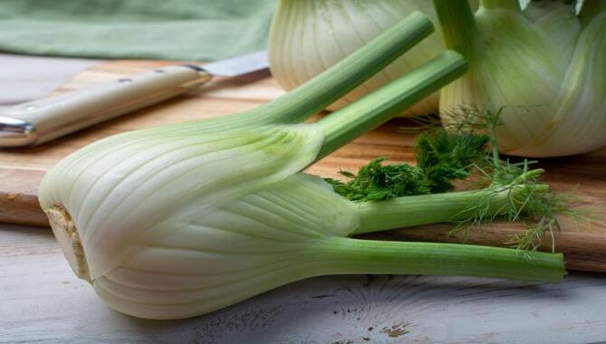 Fennel