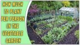 How Much To Plant Per Person In The Vegetable Garden