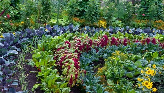 How To Choose The Right Flowers For The Vegetable Garden