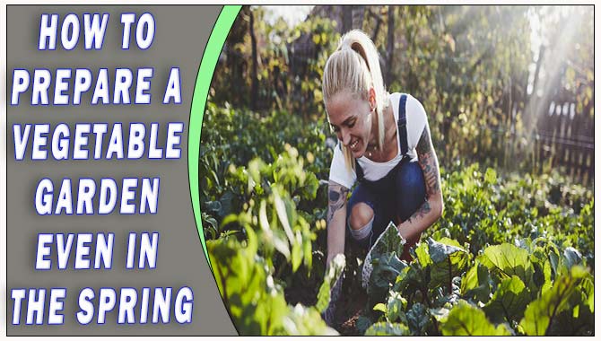 How To Prepare A Vegetable Garden Even In The Spring