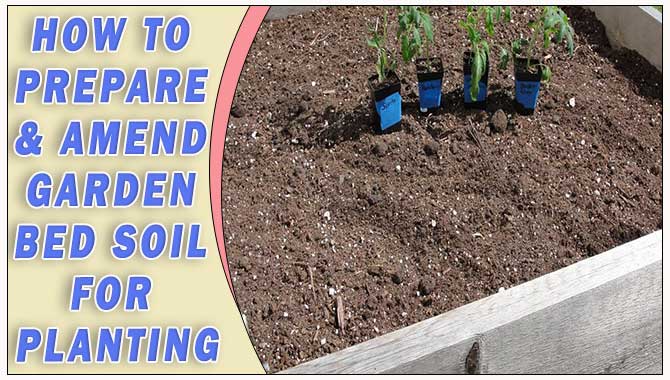 How To Prepare & Amend Garden Bed Soil For Planting