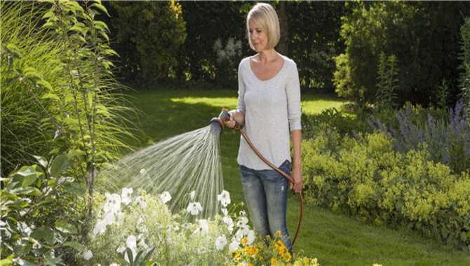 How To Water Flowers In The Vegetable Garden