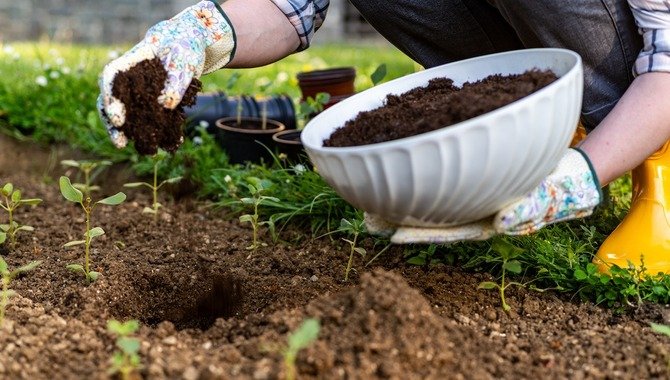 Make Garden Soil More Fertile