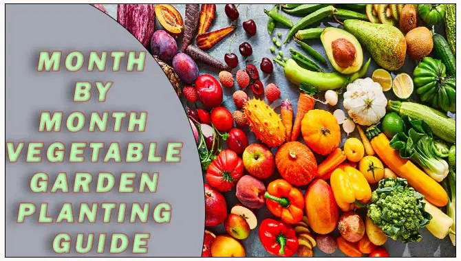 Month By Month Vegetable Garden Planting Guide
