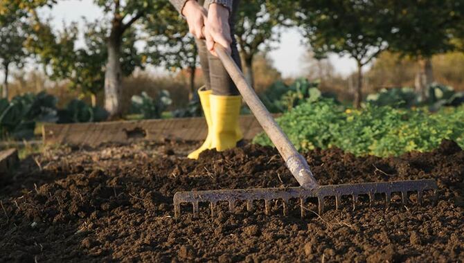 Preparing Your Soil