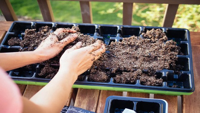 Vegetable And Flower Seed Starting Containers