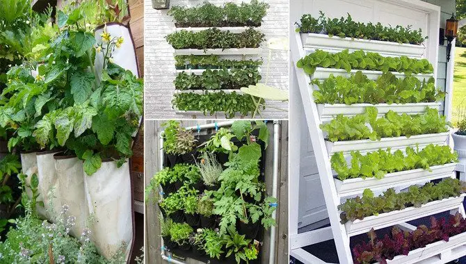 Vertical Vegetable Growing Tips For Beginners