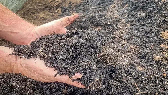 Beneficial Uses For Horse Manure