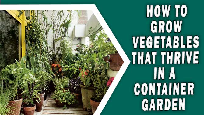 How To Grow Vegetables That Thrive In A Container Garden