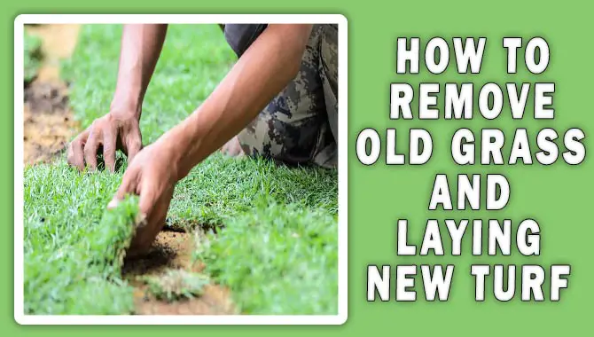 How To Remove Old Grass And Laying New Turf