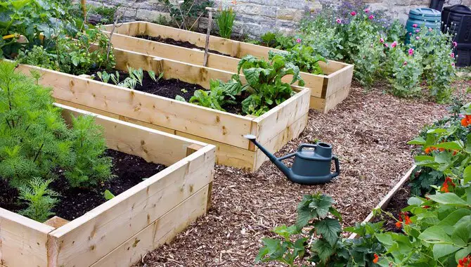 What Are The Benefits Of Building A Raised Garden Bed
