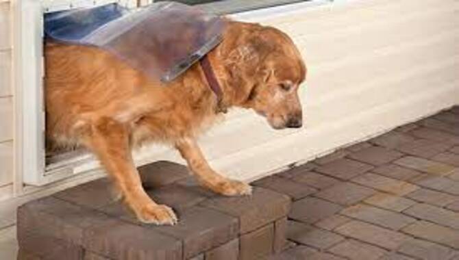 Are There Any Special Considerations To Take Into Account When Installing A Pet Door For A Pet With Special Needs