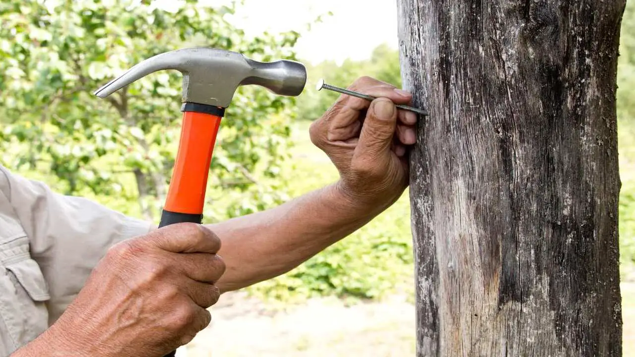 What Are The Benefits Of Killing A Tree Copper Nail?