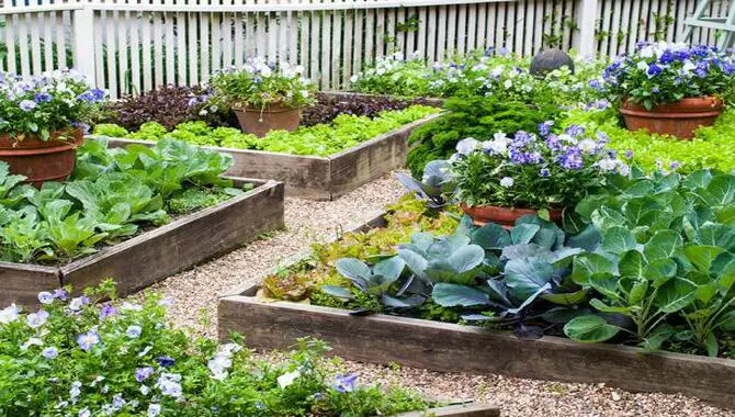 What Are The Best Plants To Grow In A Raised Garden Bed