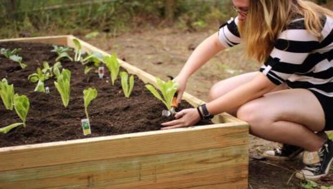 How To Build A Raised Garden Bed - 8 Easy Steps
