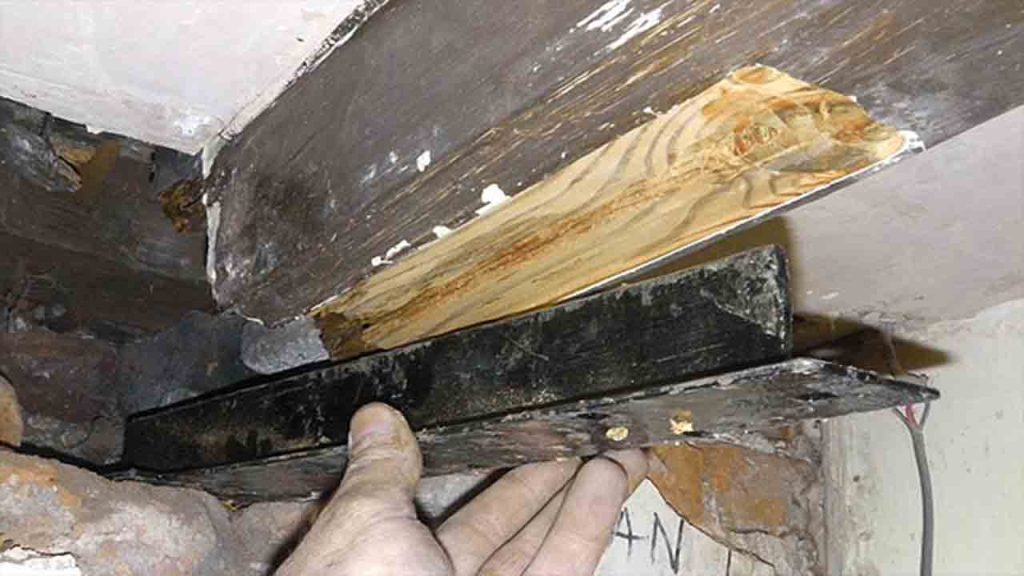 Floor Joist Repair Plates Revive Your Floors