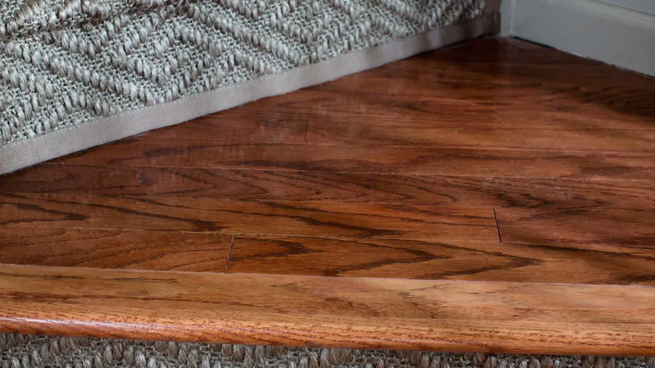 Things To Keep In Mind While Transitioning From Carpet To Wood Flooring