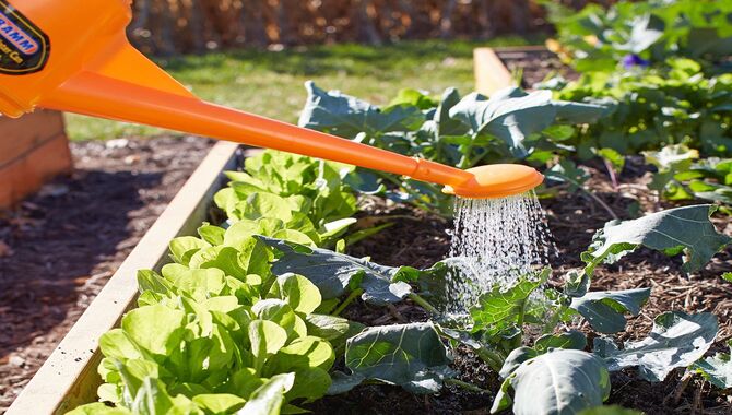 Watering Your Raised Garden Bed