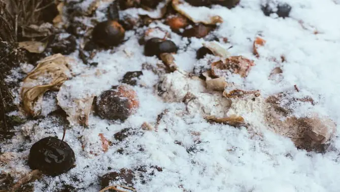 8 Tips For Composting During Winter Months
