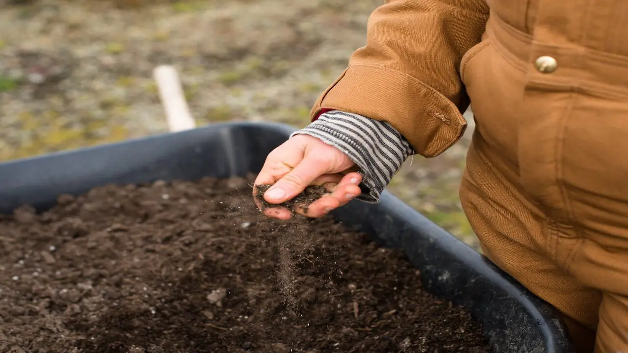 A Compost Bin Can Improve Soil Quality