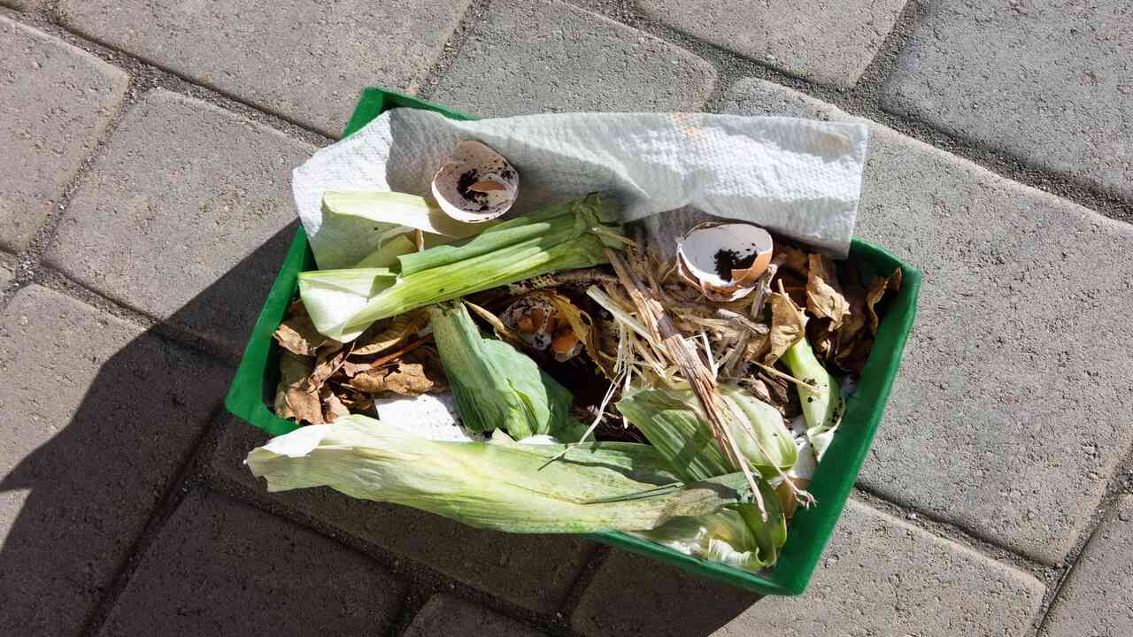 Add Greens To Your Compost Pile