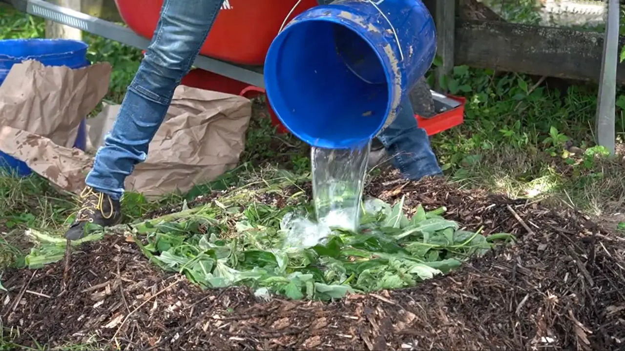 Add Water To Your Compost Pile